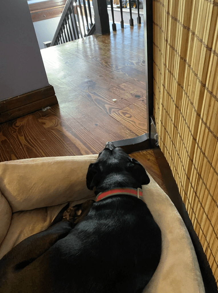 This image has an empty alt attribute; its file name is screen-shot-2021-08-25-at-2.40.00-pm.png